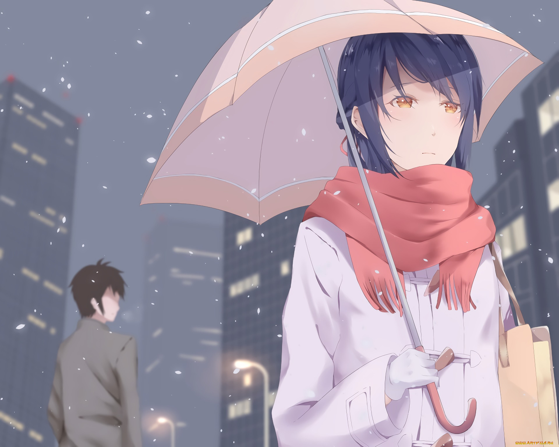 , kimi no na wa, , , 